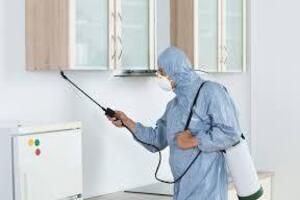 Tips on finding the best pest control service in your city