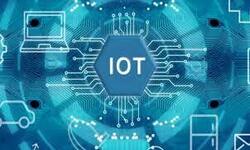 IOT Training Institute